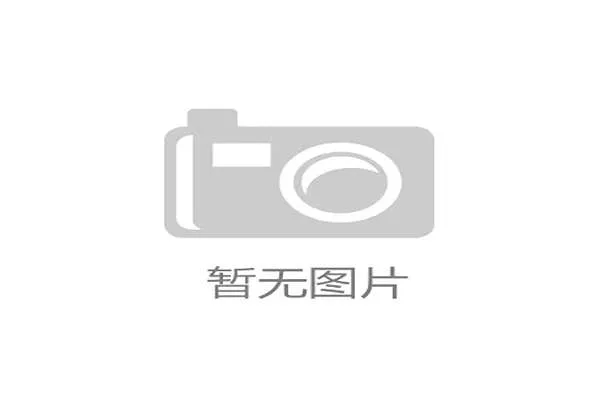1938年比利时队世界杯征程回顾